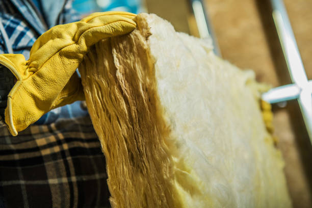 Best Insulation Maintenance and Repair in Falmouth, VA